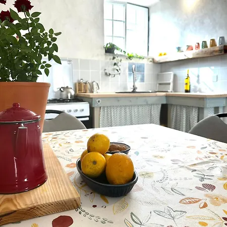 Casa Trilho The Gaios