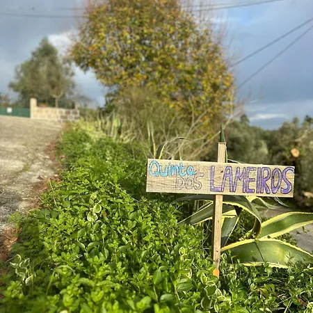 Casa Trilho The Gaios Bed & Breakfast Tabua (Coimbra)