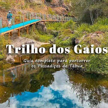 Casa Trilho The Gaios Tabua (Coimbra)