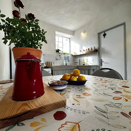 Casa Trilho The Gaios Oda ve Kahvaltı Tábua