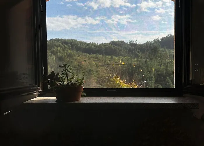 ベッド・アンド・ブレックファスト Casa Trilho The Gaios Tábua