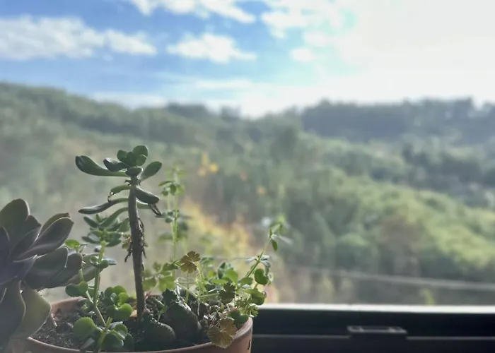 Casa Trilho The Gaios Tábua