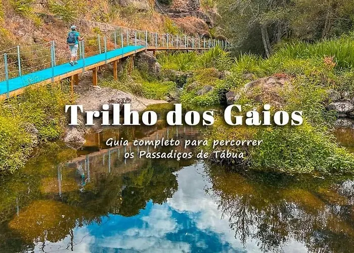 Casa Trilho The Gaios Tábua