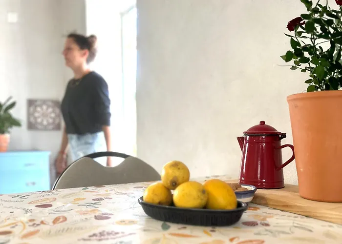 ベッド・アンド・ブレックファスト Casa Trilho The Gaios Tábua